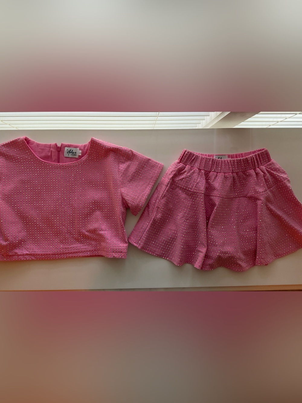 Lola + The Boys Pink Taylor Crystal Crop Top & Skirt Set